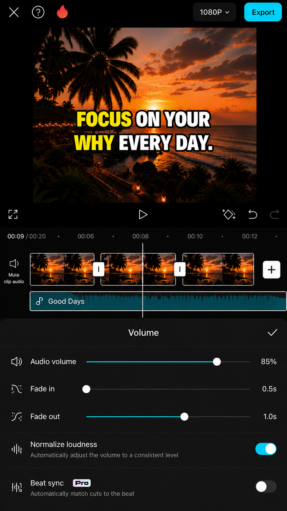 CapCut volume controls